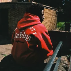 Grimey Sudadera Capucha Nablus Vintage - Dark Red - Fw23 Cheap